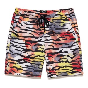 Ed Hardy Tiger Print Short Erkek Pantolon Renkli | 35421-MILV